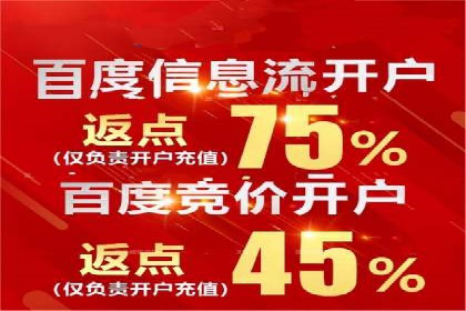 百度竞价广告投放的ROI优化：经典案例分享